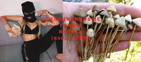 кристаллы Алзамай