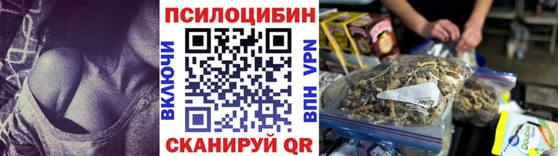 магазин продажи   Суровикино  Псилоцибиновые грибы Psilocybine cubensis 
